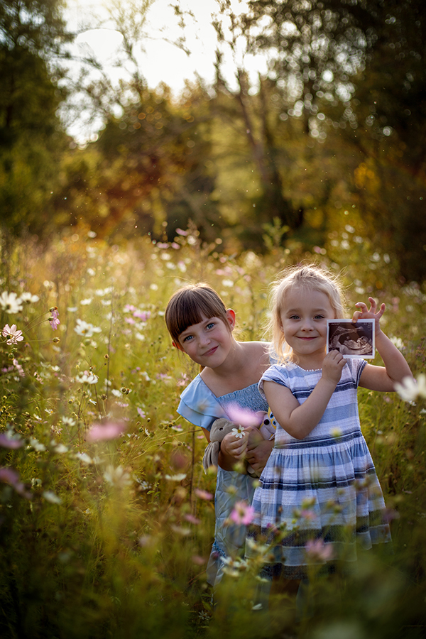 shoots in the cosmos